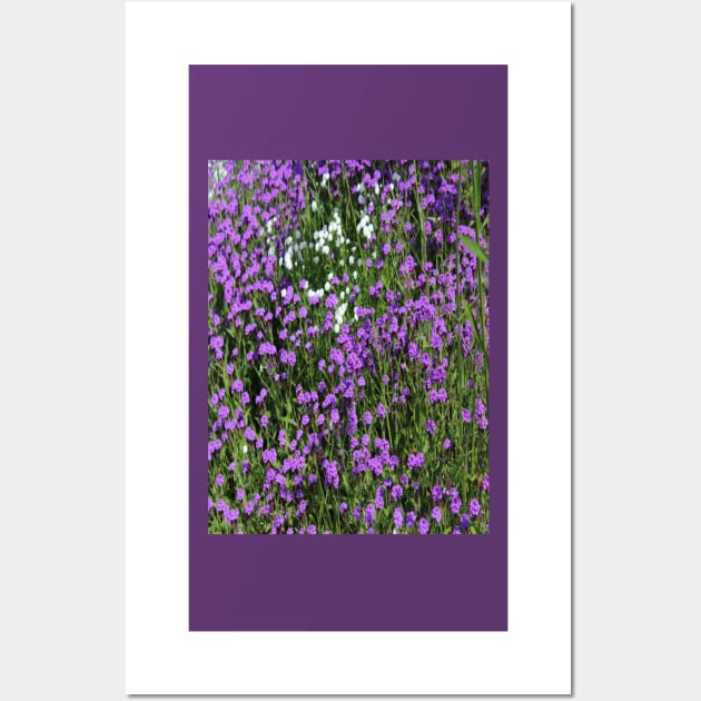 Photo Violet Fields of Flowers Wall Art by k-creatif